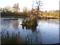 Arnold's Meadow Nature Reserve Lake in PE11 2RT