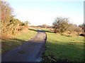 Unfenced road to Leusdon in TQ13 7NZ