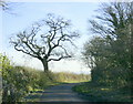 2008 : Lane to Chequers Farm, near Biddestone in SN13 0QE