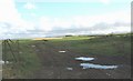 Puddled farm track with Cwyrtai Farm in the background in LL63 5SQ