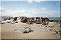 Rock formations at Budle Bay, Northumberland in NE69 7AQ
