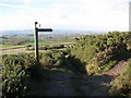 Path junction on the top of West Down Beacon in EX9 6AH