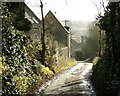 2008 : Lane near Little Keyford in BA11 5BB