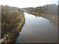 River Weaver upstream from Hartford Bridge in CW9 8XB