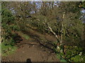 Cattle-hewn thoroughfare on rivulet bank near Stick Bridge in DG7 2AP