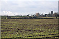 Farmland near Great Barton in IP31 2RD