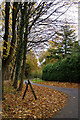 Autumnal lane in RG26 3AX