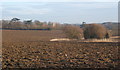 Ploughed field beside lane in IP14 2HL