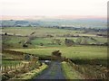 Gated road and pastures near High Moralee in NE48 3BE