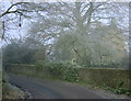 2008 : Pinkney Farm with trees in BA14 6NQ