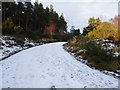Forest Track to Reservoir near East Lamington in IV18 0PD