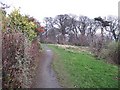 Fife Coastal Path, Hopeward Wood in KY11 9UE