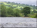 Fishing on the Ribble near Sawley in BB7 4RS