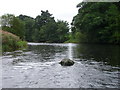 River Eden near Crackenthorpe in CA16 6AF