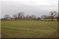 Farm land to the north of the road from The Plough at Eaves to the A6 in PR4 0BE
