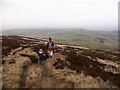 Downhill to the bridleway, Lantern Pike in Sett Ward