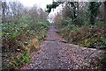 Managed footpath, Birch Wood in TN3 0XE