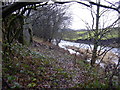 River Irwell at Townsendfold in BB4 6JE