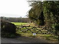 Gates and track south of Avington in SO21 1ED