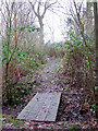 Plank bridge over drainage ditch in NR10 5BH