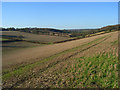 Stubble below Asheridge in HP5 2UX
