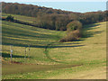 The valley between Asheridge and Bellingdon in HP5 2XA