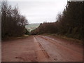 Woodland Bridleway near Wootton Courtenay in TA24 8RA