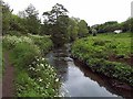 River Stour near Saltbrook Netherend in DY9 8QP