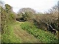 Coastal footpath runs through the woods behind Stoke Beach in PL8 1HE