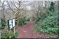 Footpath, Occombe Woods in TQ3 1HR