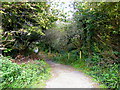 South West Coastal Path in EX23 0YW