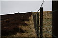 Fence and moor in DD4 0QF