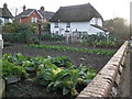 Vegetable plot, Greenway, Woodbury in EX5 1NE