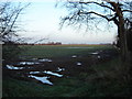 Very Wet Field in HU12 9TP
