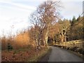 South Loch Tay road, Auchmore in FK21 8SR