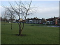 West Auckland village green in DL14 9ER