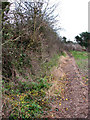 Path from Bradfield Road to Lyngate Road in NR28 0HQ