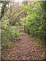 Footpath on Bucklebury Common in RG7 6SH