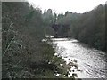 Looking upstream from Barncluith Bridge in ML3 7TU