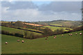 Poughill: towards Cheriton Fitzpaine parish in EX17 4LB