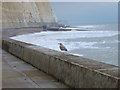 Undercliff walk at Friars' Bay in BN10 8UA