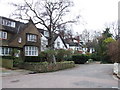 The Drive, Fordington Road, Muswell Hill in N2 0AJ