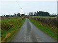 Lon wledig ger Graigwen / Country lane near Griagwen in Llanfihangel Ystrad Community