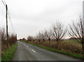 Southeasterly view along Horsey Road in NR29 4EE