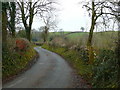 Lon wledig ger Cribyn / Country lane near Cribyn in SA48 7NJ