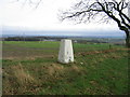Trig Point at Fyndoune with Durham City in background in DH1 5RJ