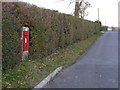West Knighton: postbox № DT2 124, Tenantrees in DT2 8PD