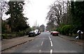 Sholebrook Avenue - Chapeltown Road in LS7 2AS