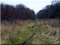 Footpath alongside the A174 in TS17 9LF