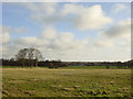 Looking across the field to Fluker's Brook Farm, Croxteth in L28 4EH